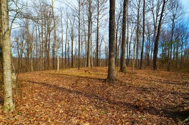 Plenty of places to escape the hustle an