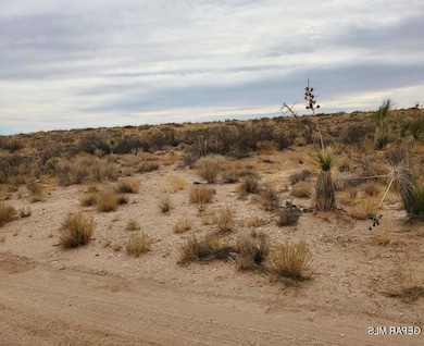 PN 93788 Tbd, El Paso, TX 79928 - photo 2