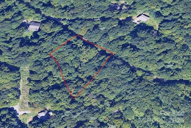 1 Green Ridge Falls Rd, Barnardsville, NC 28709 - photo 2