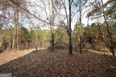 1442 Persimmon Trace, Morrow, GA 30260 - photo 3