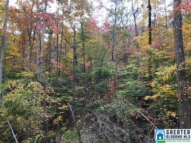 853 Pine Mountain Rd unit 1 Lot, Remlap, AL 35133 - photo 4