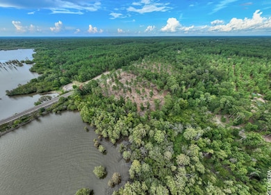 010 Farm To Market Road 83 unit Lot 10, Broaddus, TX 75929 - photo 4