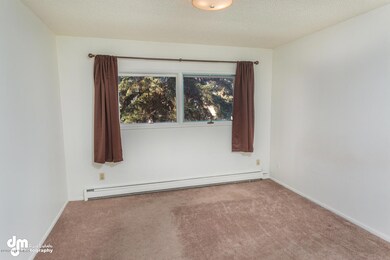 3112 Campbell Airstrip Rd, Anchorage, AK 99504 - photo 7