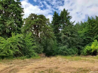 0 NE Kings Valley Hwy unit 751413, Dallas, OR 97338 - photo 3