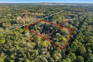 5-web-or-mls-DJI_0075-Lot Lines and Land