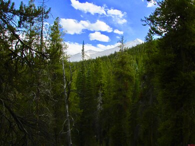 175 Saddle Ridge Rd, Crested Butte, CO 81224 - photo 4