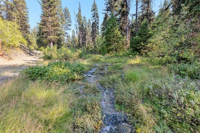 6300 Camas Creek Rd, Potomac, MT 59823 - photo 2