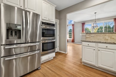 4284 Stableford Ln, Naperville, IL 60564 - photo 7