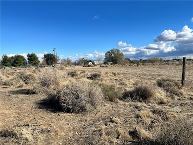 1 Greasewood Ln, Phelan, CA 92371 - photo 3