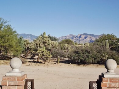 Views - Mountains from Front Courtyard