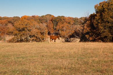 7252 Northwest Hwy, Fairview, TN 37062 - photo 4