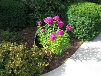 51 Willow St, Chicopee, MA 01020 - photo 2