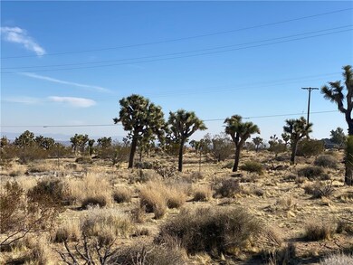 7800 La Contenta Rd, Yucca Valley, CA 92284 - photo 5