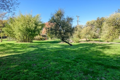 994 Lotus Rd, Coloma, CA 95651 - photo 5