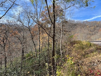 Lot 19 The Highlands, Hiawassee, GA 30546 - photo 5