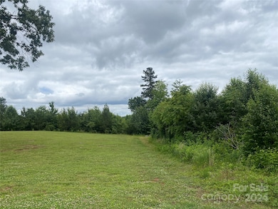 56.19 ac Hebron Rd, Statesville, NC 28625 - photo 3