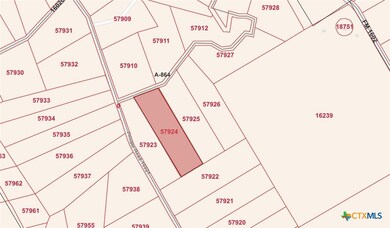 TBD Private Road 16022, Jonesboro, TX 76538 - photo 2