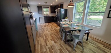 Dining to kitchen 2