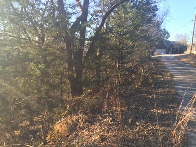 Lot 26 Briar Hill, Ruth B Rural Township, MO 65686 - photo 3