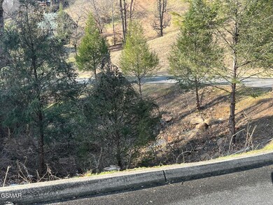 Lot 18 J E D Trail, Sevierville, TN 37862 - photo 2