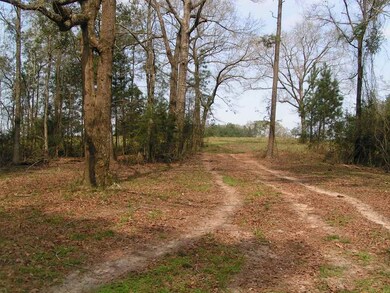 00 Toby Trail, Red Level, AL 36467 - photo 5