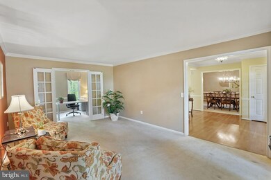 12638 Timonium Terrace, North Potomac, MD 20878 - photo 6