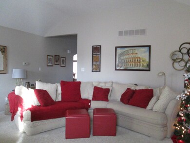 Living Room Another View