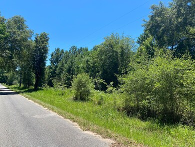 00 Spooner Rd, Lucedale, MS 39452 - photo 3