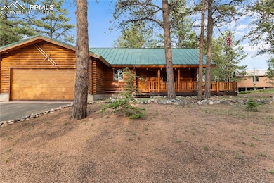 170 Druid Trail, Florissant, CO 80816 - photo 2