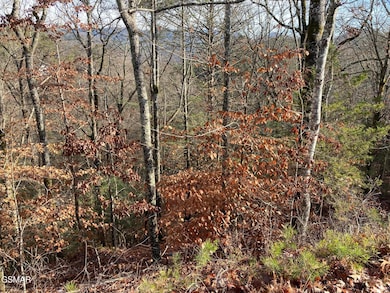 Lot 51 Red Cedar Ln, Sevierville, TN 37876 - photo 2