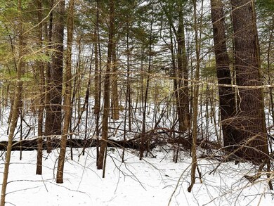 Map 18 Lot 15 Summit View Dr, Moultonborough, NH 03254 - photo 4