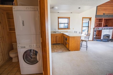 164 Valley View Dr unit 3218, Pagosa Springs, CO 81147 - photo 4