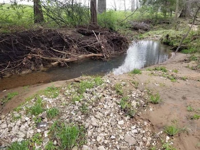 21772 State Highway 32, Stockton, MO 65785 - photo 4