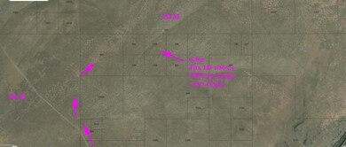 9,82 McDowell Creek Road Parcel, Plush O