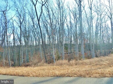 LOT 41 Comforter Ln, North River, VA 22645 - photo 3