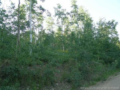 Land/Lot.