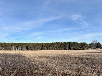 0 Seymour #E Rd, Grass Lake, MI 49240 - photo 3