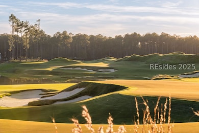 85 Amaranth Rd, Bluffton, SC 29910 - photo 3