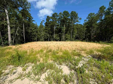 130 Ashcreek Ln unit lots 130,131, Brookeland, TX 75931 - photo 2