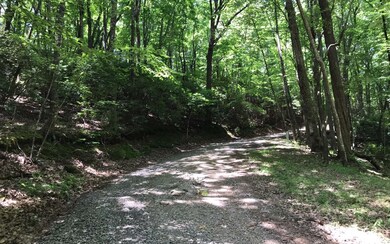 Additional View