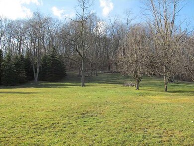 Yard/Garden.