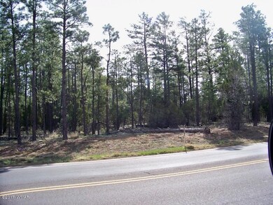 951 S Central Ave, Show Low, AZ 85901 - photo 6