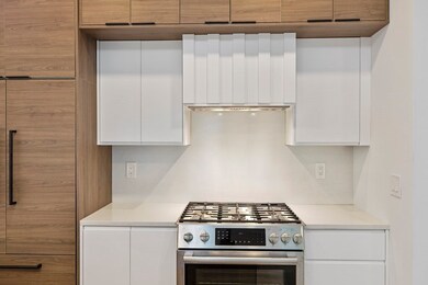 118 Spring St unit 2, Cambridge, MA 02141 - photo 5