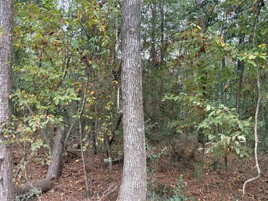 TBD Magnolia Duke Dr, Livingston, TX 77351 - photo 4