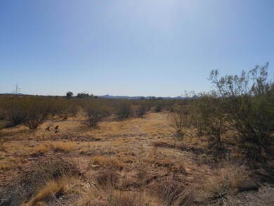 21025 W Date Creek Rd unit 11A, Wickenburg, AZ 85390 - photo 5