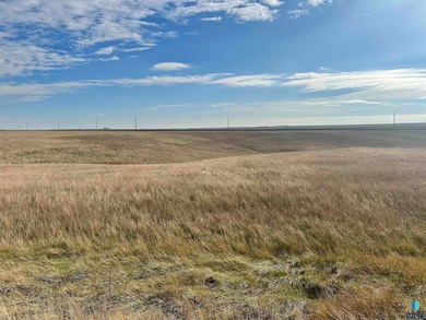 28057 Cactus Flat Dr Dr, Fort Pierre, SD 57532 - photo 5