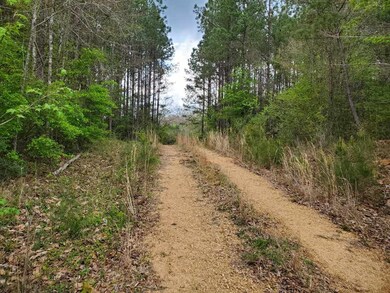 Xx Enterprise Rd, McComb, MS 39648 - photo 6