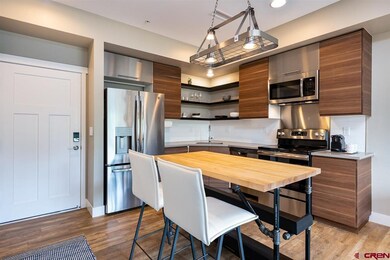 610 E 8th Ave unit 213, Durango, CO 81301 - photo 5