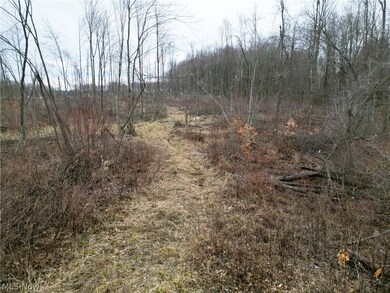 6990 Woodard Rd, Andover, OH 44003 - photo 5