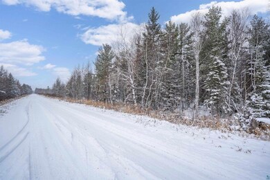 XXXX Saint Louis Co 991, Meadowlands Township, MN 55765 - photo 7